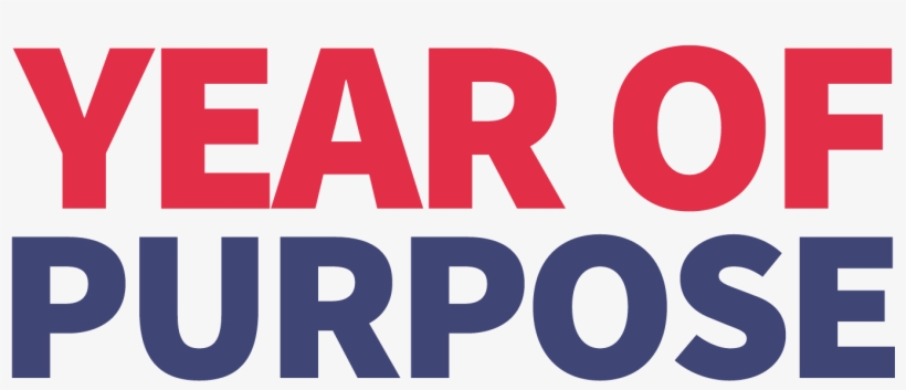 How To Create A $900 Side Hustle In Just 30 Days With - Danger Tsunami, transparent png download