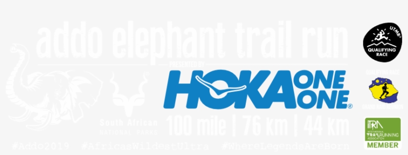 Experience The True Thrill Of Running Wild - Addo Elephant National Park, transparent png download