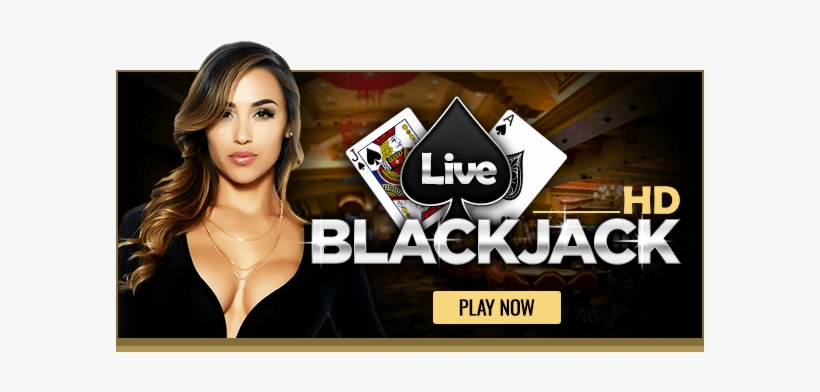 Live Blackjack - Blank Back Bicycle Poker, transparent png download