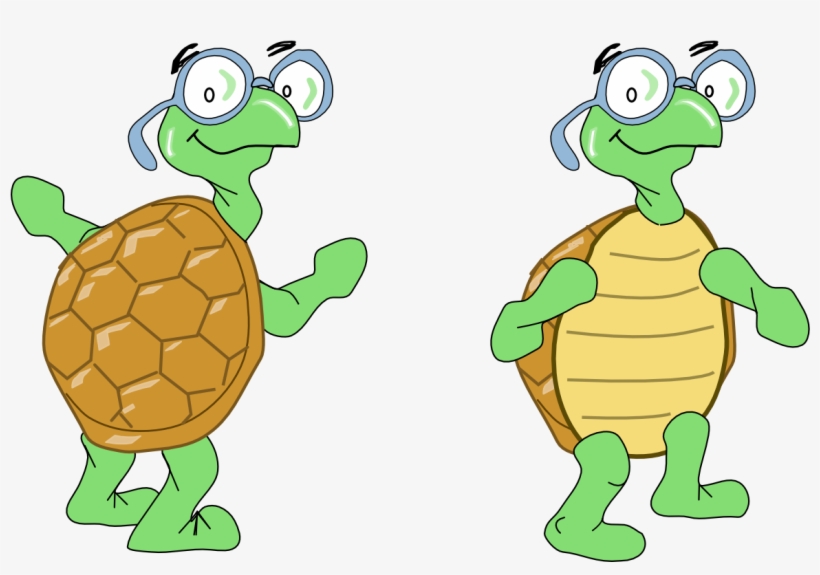 Turtles - Turtle, transparent png download