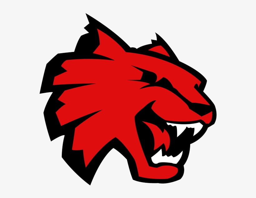 Central Washington University Athletics Logo, transparent png download