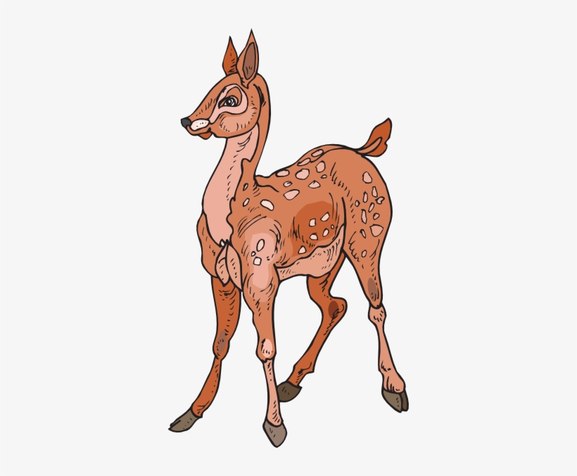Png V - Biche Vectorielle, transparent png download