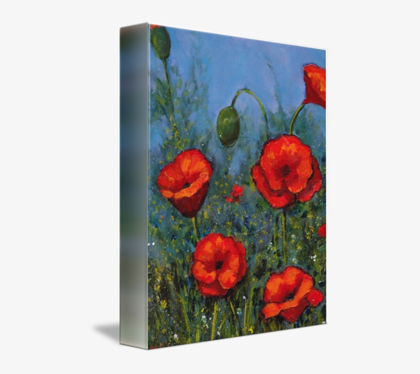 "red Poppies Flowers" By Joyce Geleynse, Inkerman // - Rote Mohnblumen, Handgemalte, Blumenkunst Grußkarte, transparent png download