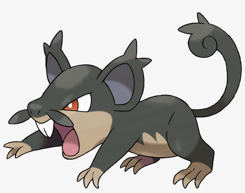 Jpg Freeuse Library Image Rattata Png Nintendo Fandom - Black Rattata Pokemon Go, transparent png download