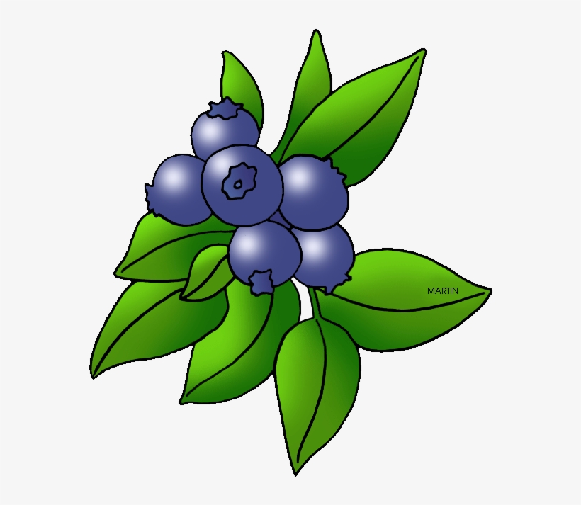 Picture Royalty Free Library Image Of Blueberry Blueberries - Blue Berries Clip Art, transparent png download