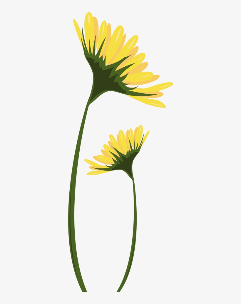 Yellow Daisies Decal - Margaritas Amarillas Dibujos, transparent png download