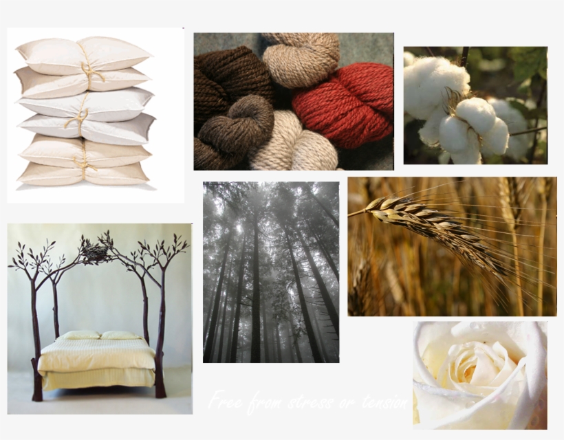 Comfort N - - Canopy Bed, transparent png download