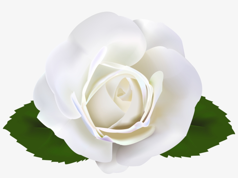 Png Clipart Source - Drawing, transparent png download