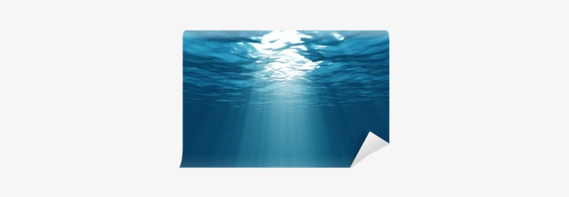 Light Underwater In The Ocean Wall Mural - Finding Dory Wallet And Sling Bag By Sugarbox, transparent png download