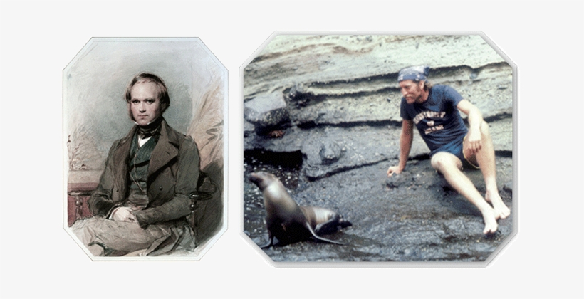 Watercolor Portrait Of Charles Darwin By G - Charles Darwin, transparent png download