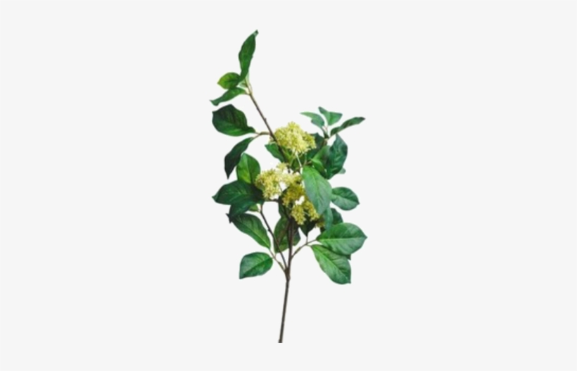 Pin By Viktoria Wolf On Styler - Mood Board, transparent png download