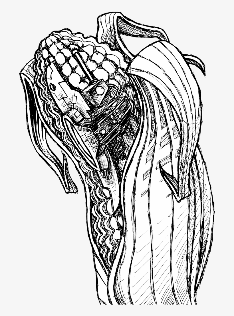 Project First Angry - Navajo Corn Drawing, transparent png download