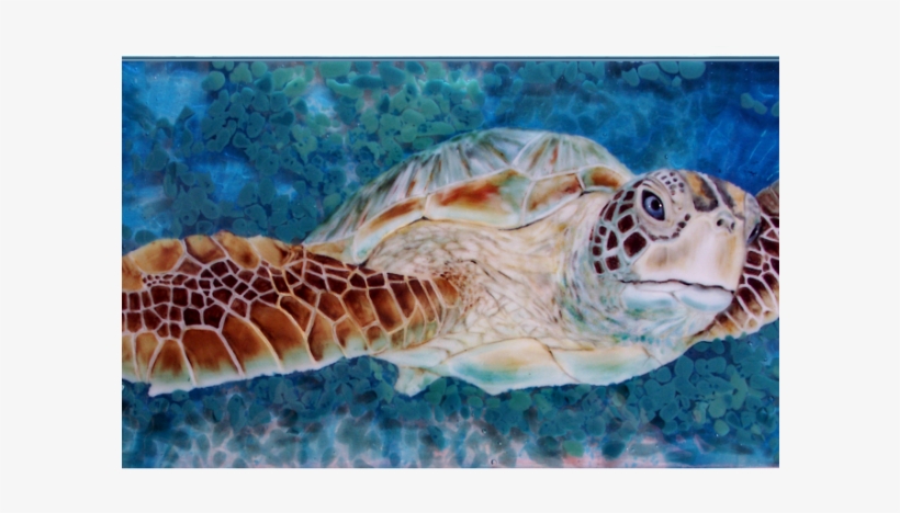 Hanging Sea Turtle - Ferguson Graphics, transparent png download