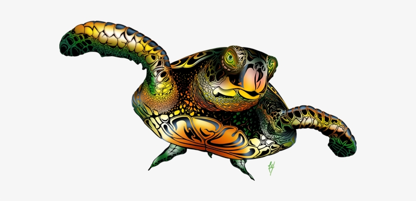 Sea Turtle - Colored - Illustration, transparent png download
