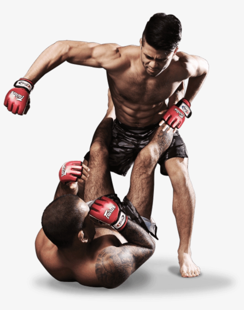 Mixed Martial Arts Fight Free Png Image - Mixed Martial Arts Png, transparent png download