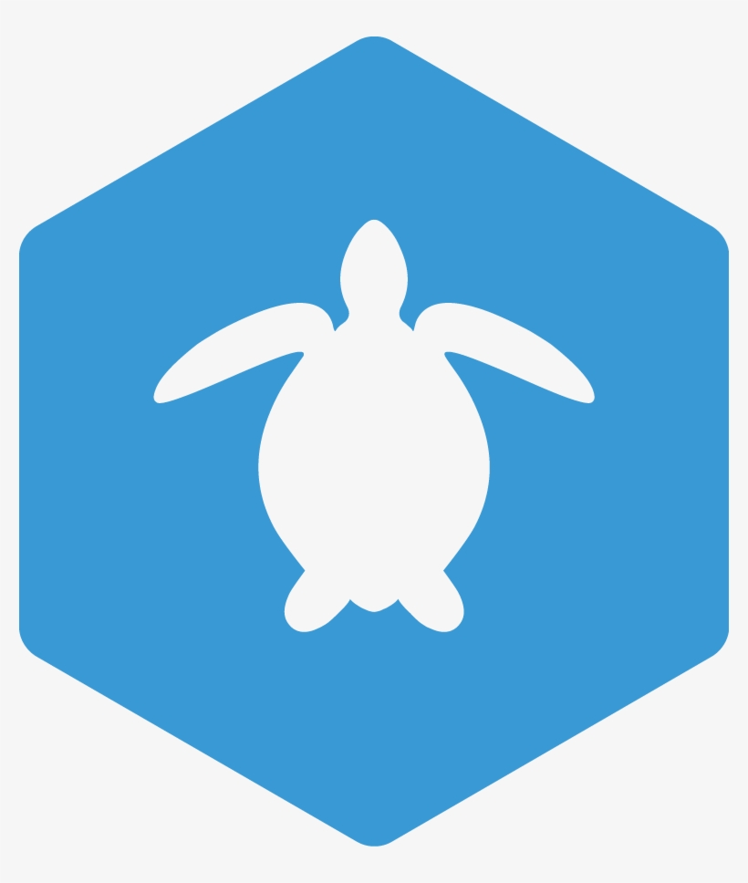 Sea Turtle Ecology And Head-starting Certification - Blue Next Icon Png, transparent png download