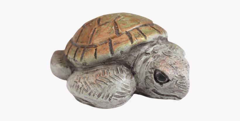 Sea Turtle, transparent png download