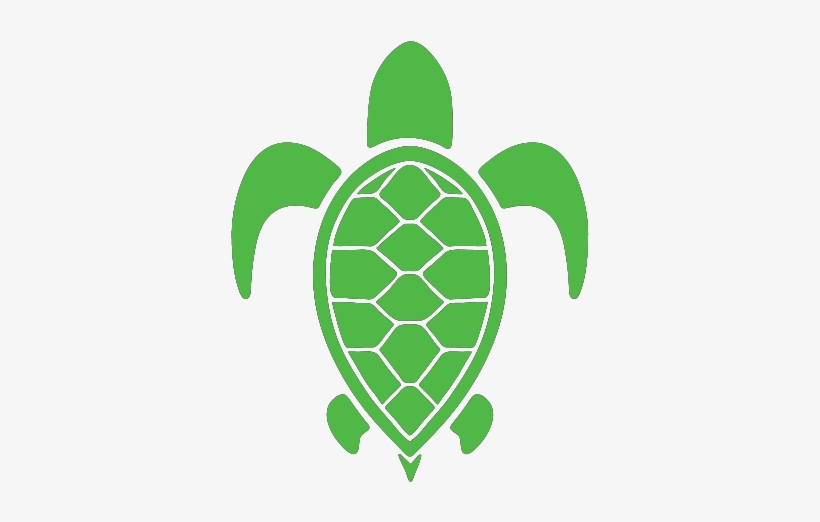 Endangered Green Sea Turtle Membership - Sea Turtle, transparent png download