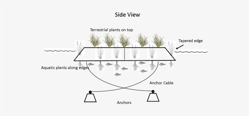 39,000-ft2 Island In Sheepy Lake, Ca - Build A Floating Wetland, transparent png download