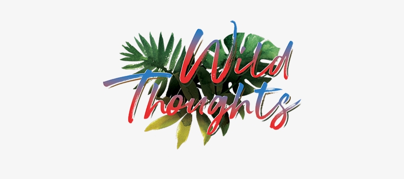 Dj Khaled T-shirts - Dj Khaled, transparent png download