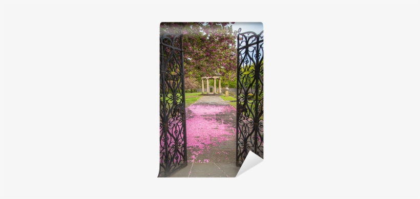 Garden Path Covered In Cherry Blossom Petals And Gazebo - Deception At The Oasis [book], transparent png download