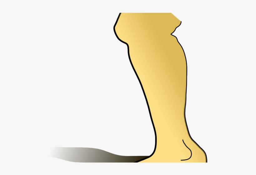 Clipart Owl Foot - Crus, transparent png download