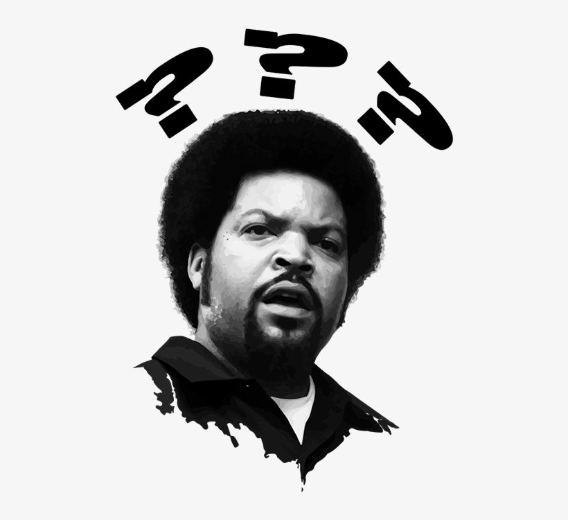I Wonder If Anyone At Any Point In The Idea's Development - Ice Cube, transparent png download