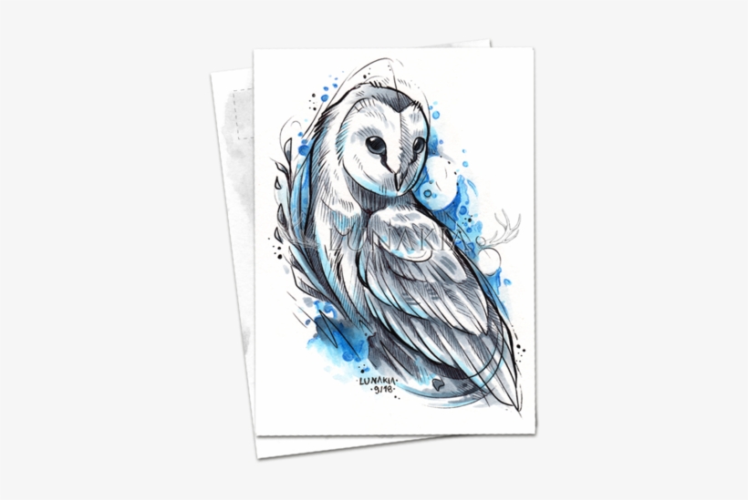 Barn Owl, transparent png download