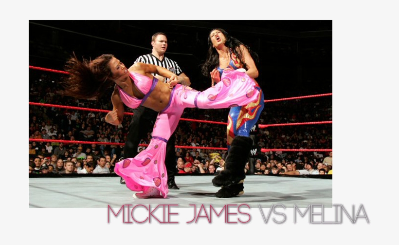 Ioavnjb - Mickie James Kicks, transparent png download