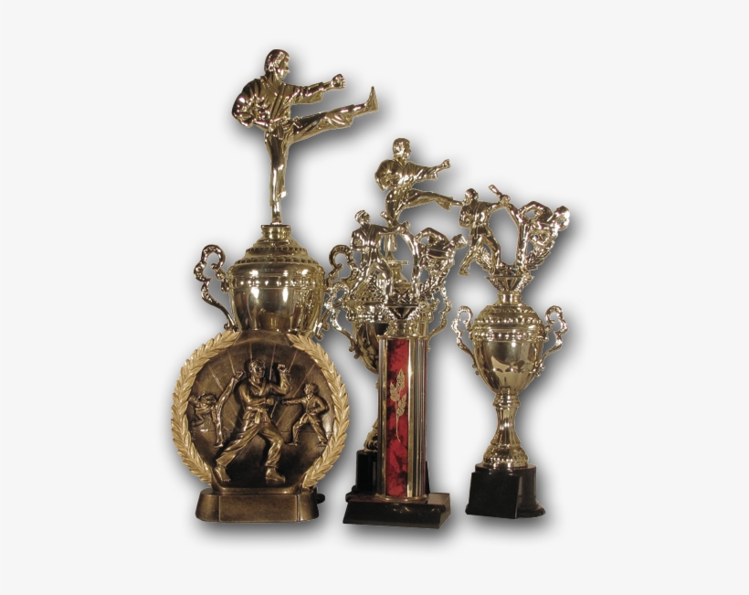 Custom And Personalized Trophies From Ashworth Awards - Ultimate Treasure, transparent png download