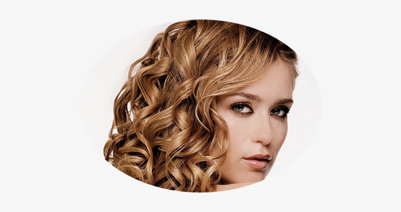 Bridal / Formal / Special Events Jd Retouche Model - Volume, transparent png download