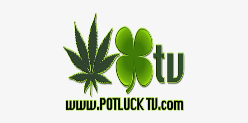 Live - Television, transparent png download