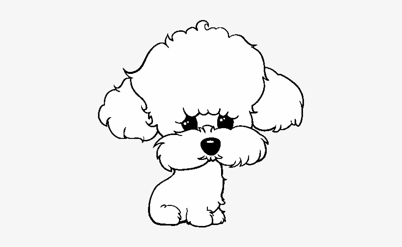 French Poodle Dibujo / ᐈ Para colorear de perros french poodle dibujos