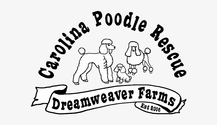 Graphic Free Download Available Dogs Carolina Rescue - Carolina Poodle Rescue Logo, transparent png download