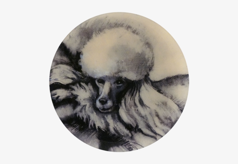 Fifi Fifi - Facebook, transparent png download