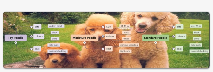 Ttt-01 - Portable Network Graphics, transparent png download