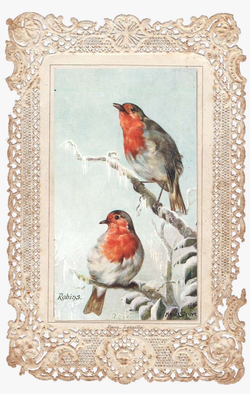 Wings Of Whimsy - Bird, transparent png download