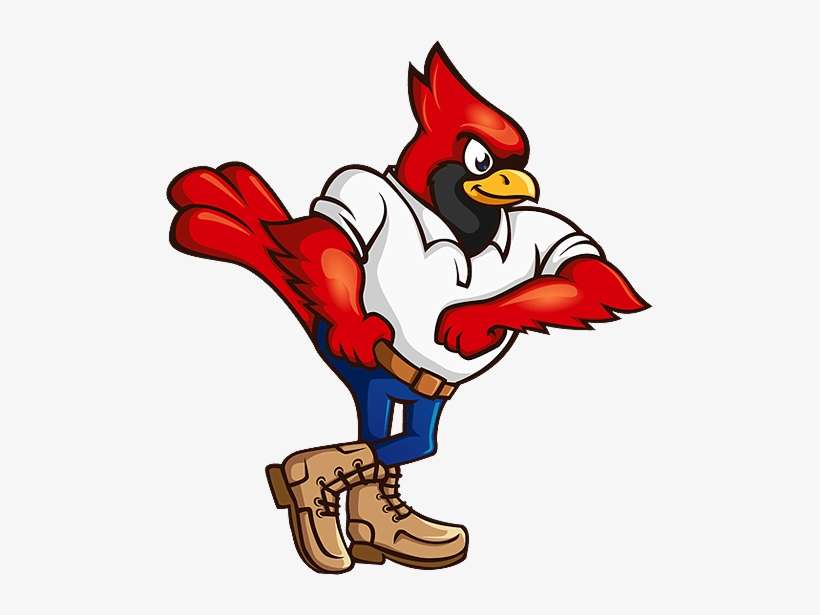 Learn More - Cardinal, transparent png download