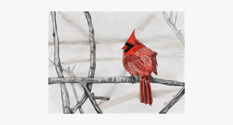 Digital Art &photography - Digital Art, transparent png download