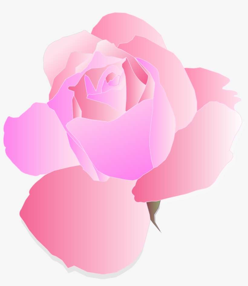 How To Set Use Pink Rose Clipart, transparent png download