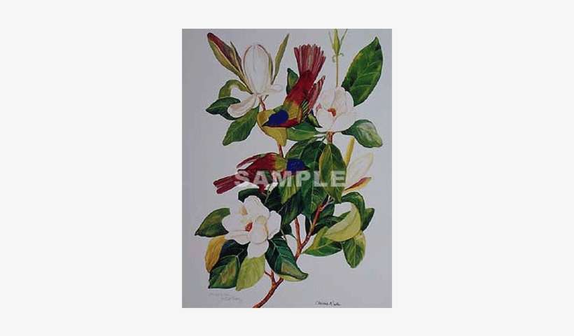 Carolina Paraquet & Painted Bunting Pair - Mountain Laurel, transparent png download