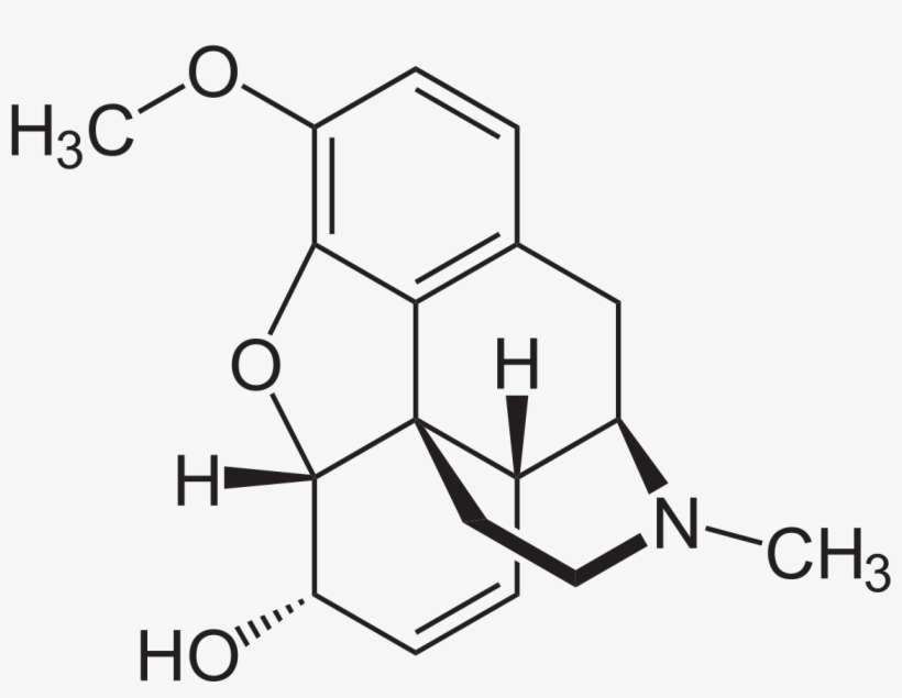 Codeine Structure, transparent png download
