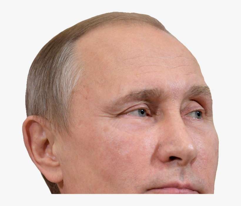 Being Forced By Congress - Vladimir Poutine, transparent png download