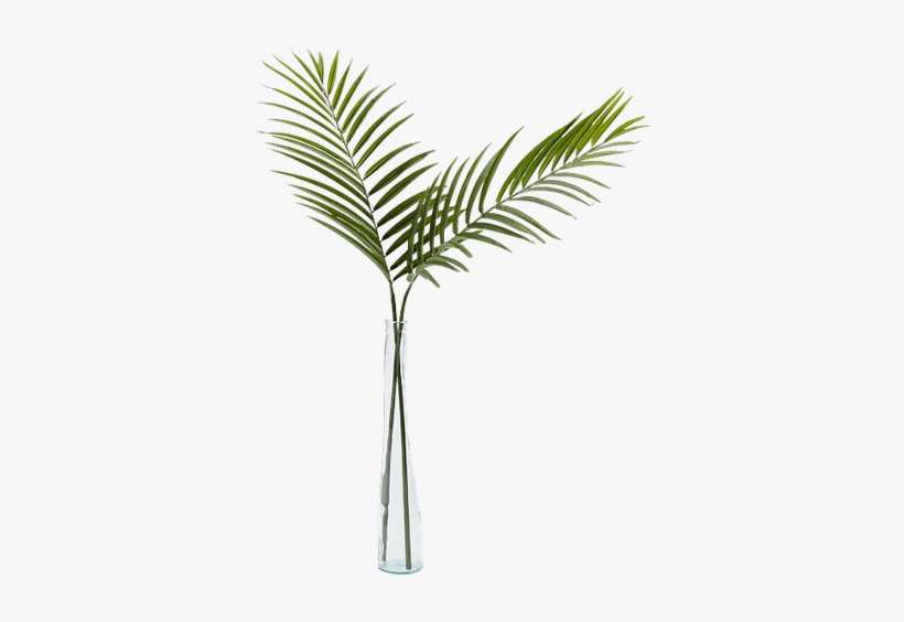 West Elm Palm Leaf PNG Image Transparent PNG Free Download on SeekPNG