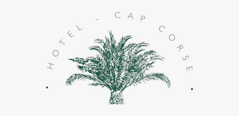 Logo-palm - Attalea Speciosa, transparent png download