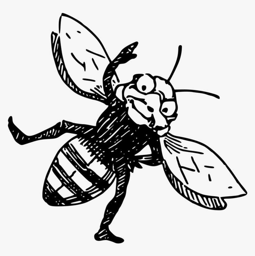 Honey Bee Insect Beehive Queen Bee - Bee, transparent png download