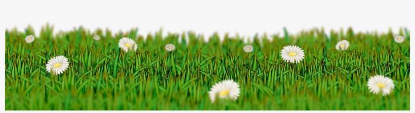 Download Meadow Png Clipart Desktop Wallpaper Clip - Meadow Png, transparent png download