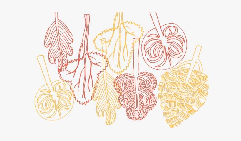 Thanksgiving - Earth Speaks To All Of Us, transparent png download
