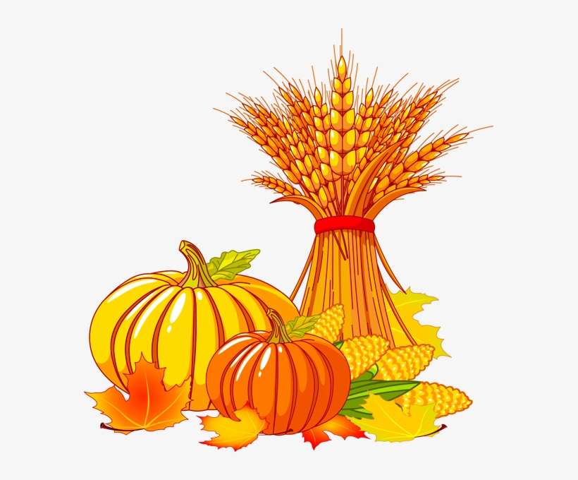 Thanksgiving, What Does It Mean - Thanksgiving Pumpkin Clip Art, transparent png download