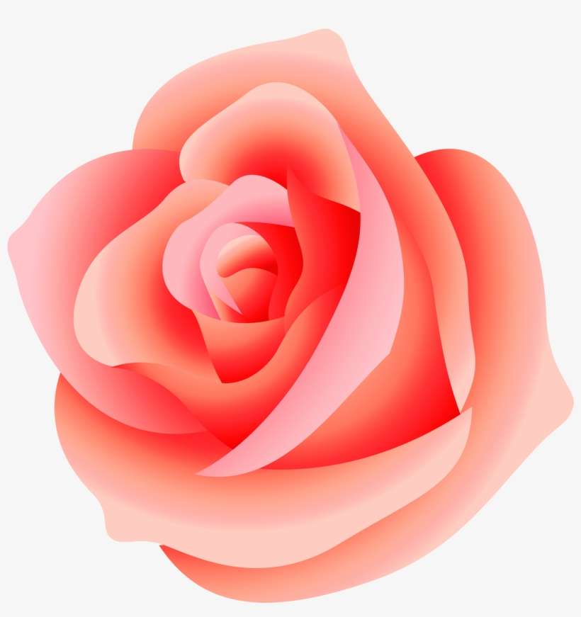 Large Png Picture Gallery Yopriceville High Quality - Peach Rose Clip Art, transparent png download